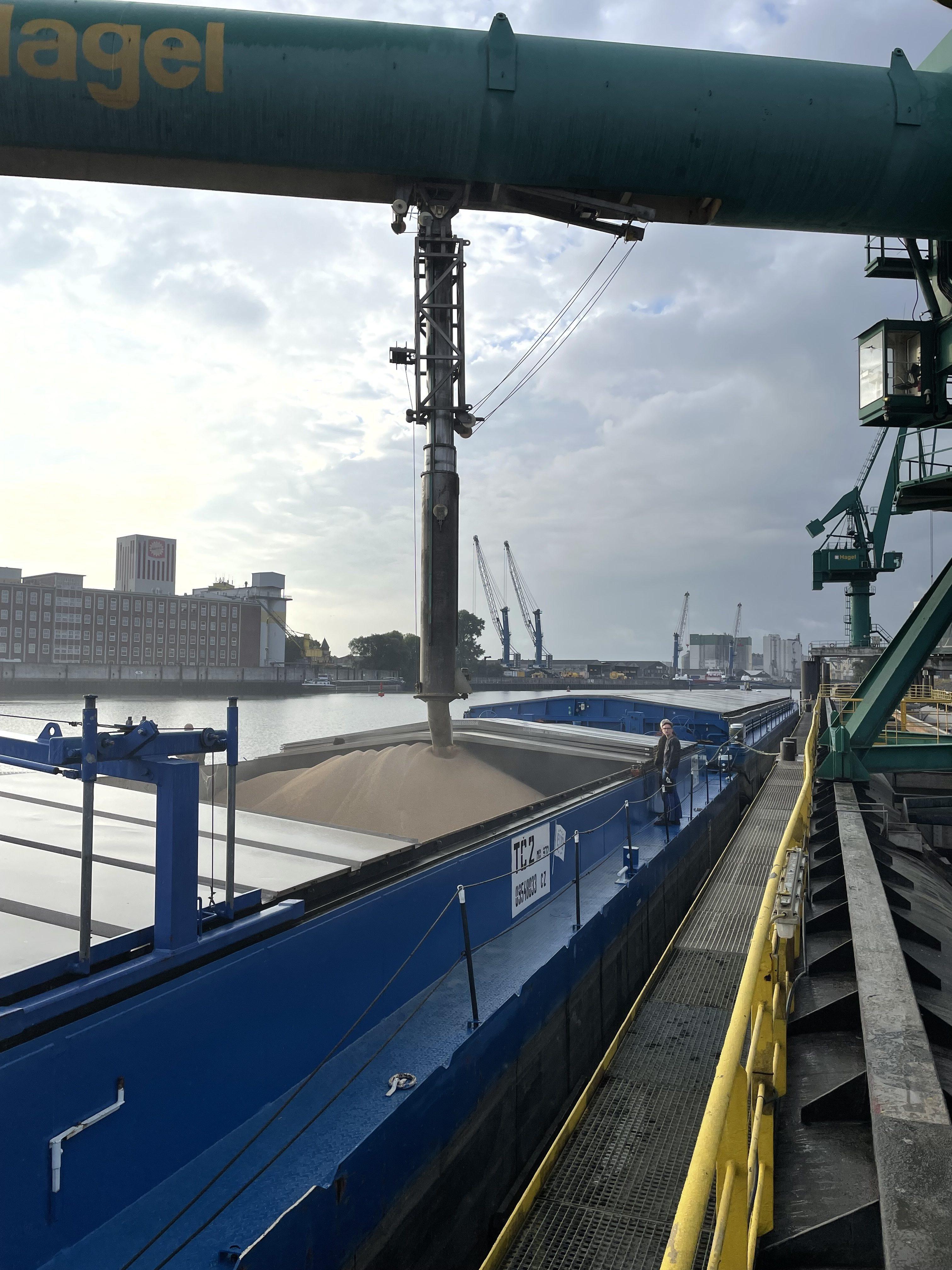 Vessel VIDA 10 CAN loading in Hamburg